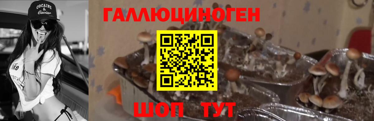 Галлюциногенные грибы прущие грибы Ханты-Мансийск